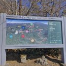 서귀포자연휴양림 | 서귀포자연휴양림 겨울 산책 후기｜1100도로 숲길에서 머릿속 정리하기