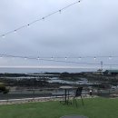 비에노즈 이미지