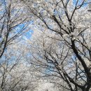 김포농협 하나로마트 이미지