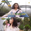 (주) 모모투어 이미지