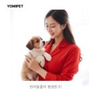 제주 강아지분양 애견샵 요미독 제주점 이미지