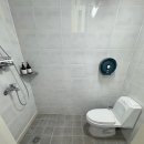 코델리아 이미지