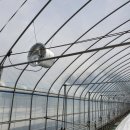 유동농장 이미지