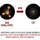 푸른봄약국 이미지