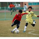 대전화정초교 이미지