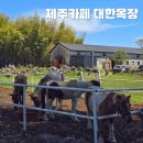 순 목장 | 제주 대한목장 카페, SNS 핫플레이스 방문 후기