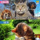 공감 이미지