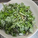 밑반찬&별미요리 | 태안 펜션 추천 | 봄여행 텃밭 체험 머위 요리 후기