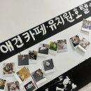 땅콩 애견유치원 | 신림 애견카페 &#39;평생 사랑할 개&#39;, 솔직하게 다녀온 후기