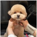 아르테미스학원 이미지