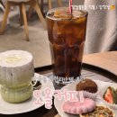 커피통 | 원주 반곡동 카페 2세대 두쫀쿠 통딸기 모찌쿠키 후기, 오올커피