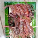 대포횟집 이미지