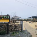 신도1리 이미지