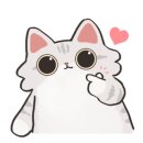 주식회사씨더블유 이미지