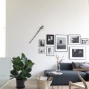 식물 인테리어 이미지