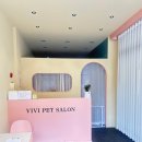 비비펫미용 이미지