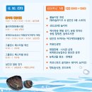 제8회 하동섬진강문화재첩축제 이미지