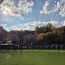 숲속낚시터 이미지