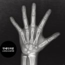 연세더자람비타민