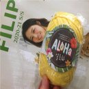 니뜨얀