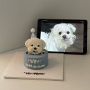 포유댕 | 대전강아지케이크/포유댕 퀄리티 높고 기호성 좋은 맞춤 강아지케이크 찐 후기