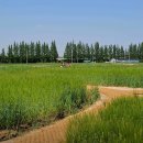 노인 식사 요령 이미지