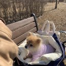 연희자연마당 공원 네이버블로그