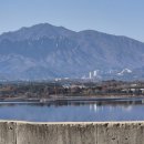 영랑동주민센터 이미지