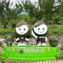 하동야생차박물관 | 경남 가볼만한곳 하동 야생차박물관 관람 후기