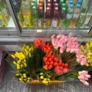 케익나라빵마을 | [광주 가볼만한 곳] 가격도 착한 대왕 빵! 광주 고려인마을 가족카페 방문 후기