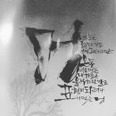 강수호