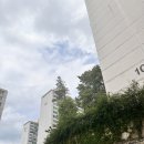 중부초등학교 | 성남 은행동 현대아파트 임장