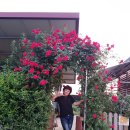 당거리 쉼터 이미지