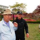 태백초등학교 이미지