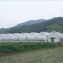 청양군장평면미당보건진료소 이미지