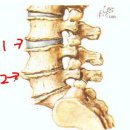 Re:허리 신경성협착증 이미지