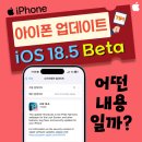 iOS 18.5 베타 업데이트 후기 : 어떤 점이 달라졌을까?