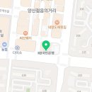 솔빛동양약국 이미지