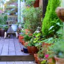 매직스튜디오 이미지