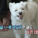 소공휴