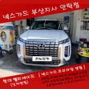 넥스가드부산지사