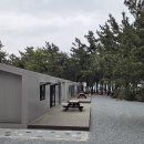 솔향기하우스 티스토리
