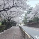 [HD]정보보안(산업)기사 필기 Part.2 시스템보안 | [자격증 후기] 정보보안기사 실기 합격