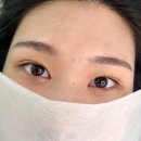 경기도 수원시 권선구 세지로112번길 25-1 (권선동) | 수원 권선동 노글루 속눈썹펌 _‘레브로우’ 찐 후기