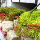 김해외국어고등학교 이미지