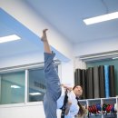 한반도태권도 이미지