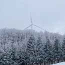 바우목장 이미지