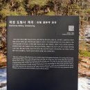 도림사계곡 이미지