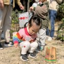 부모참여 프로그램 : 유아 숲 체험 숲놀 가족 축제 🍁 이미지