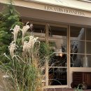 더오네뜨 이미지